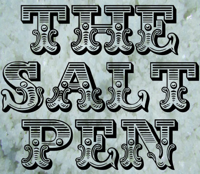 The Salt Pen by Bill Montana